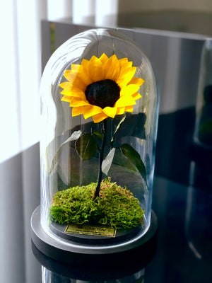 Bella Sunflower